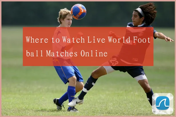 Where to Watch Live World Football Matches Online